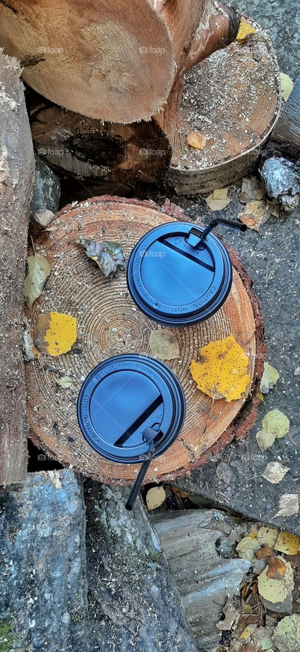 два скатанчика с кофе на пне с желтыми листьями