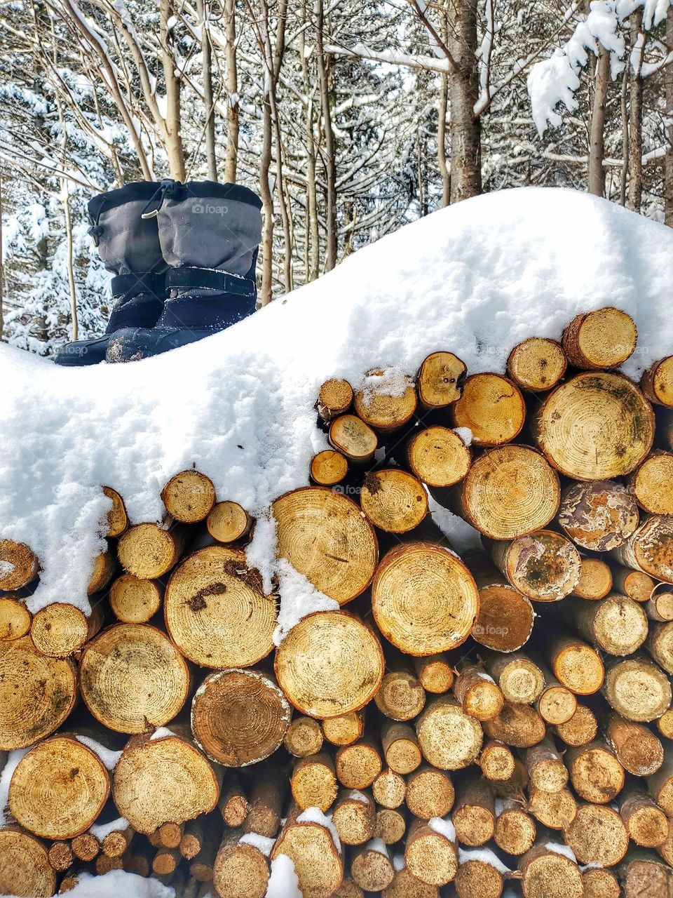 First snowfall: boots on snowy logs.