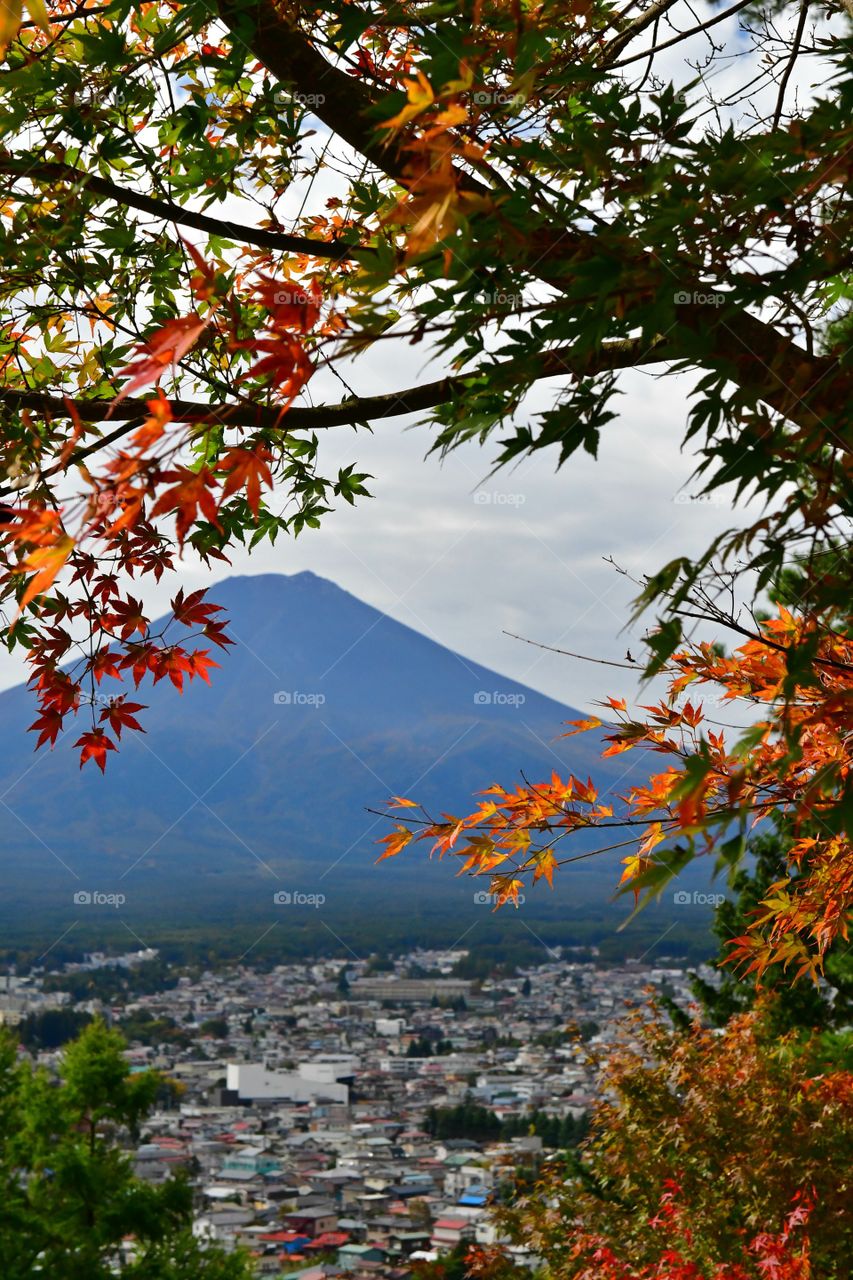 Mount Fuji fall foliage