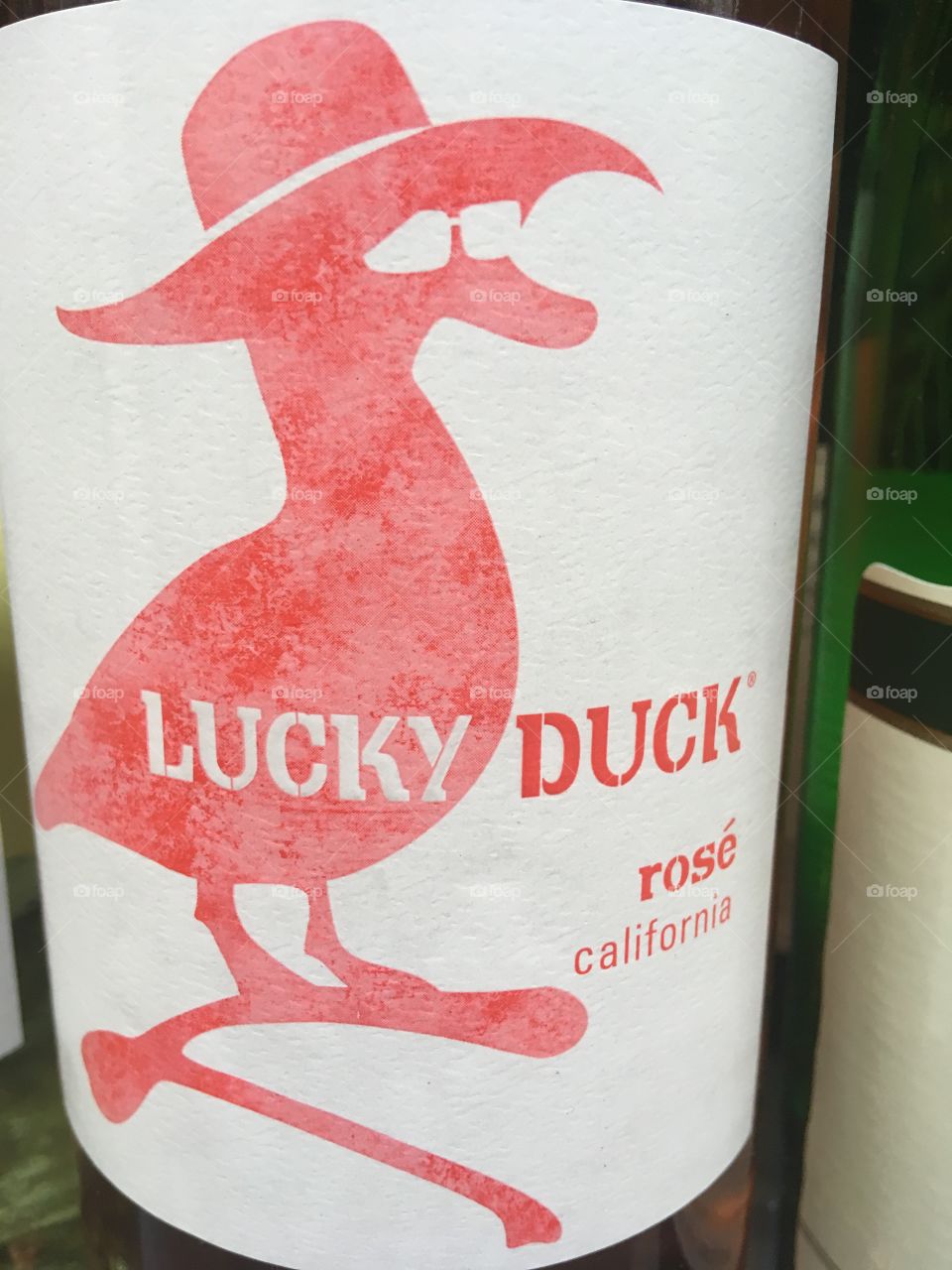 Lucky Duck Rose