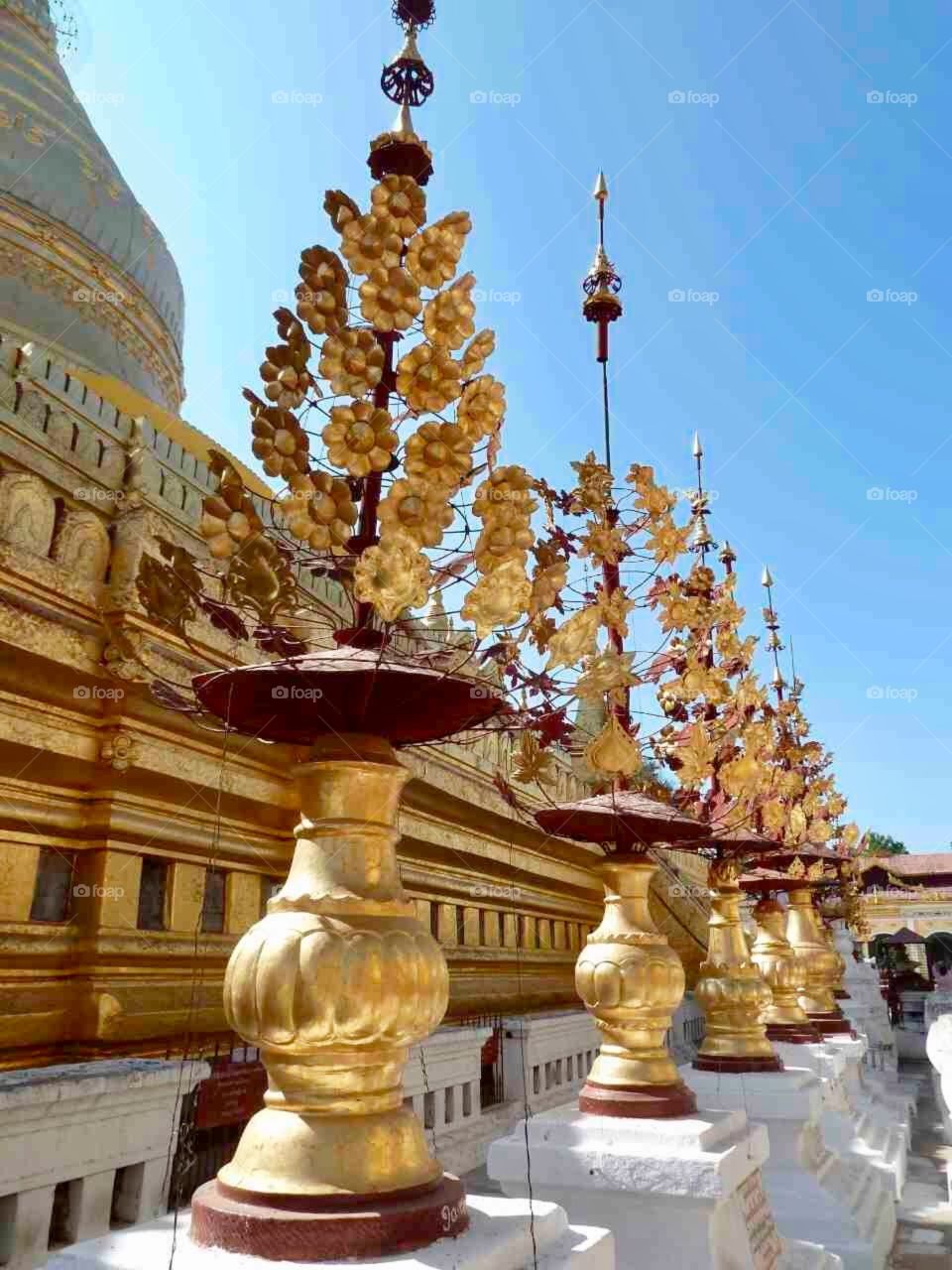 Golden leaves surround a golden temple