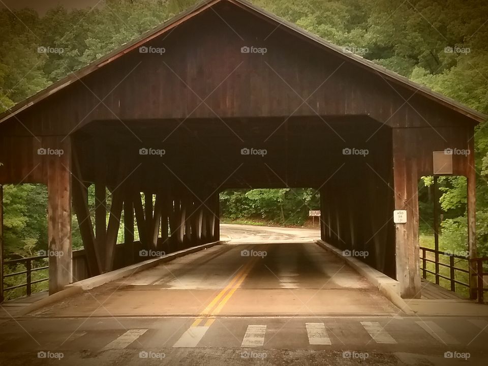 Mohican park bridge