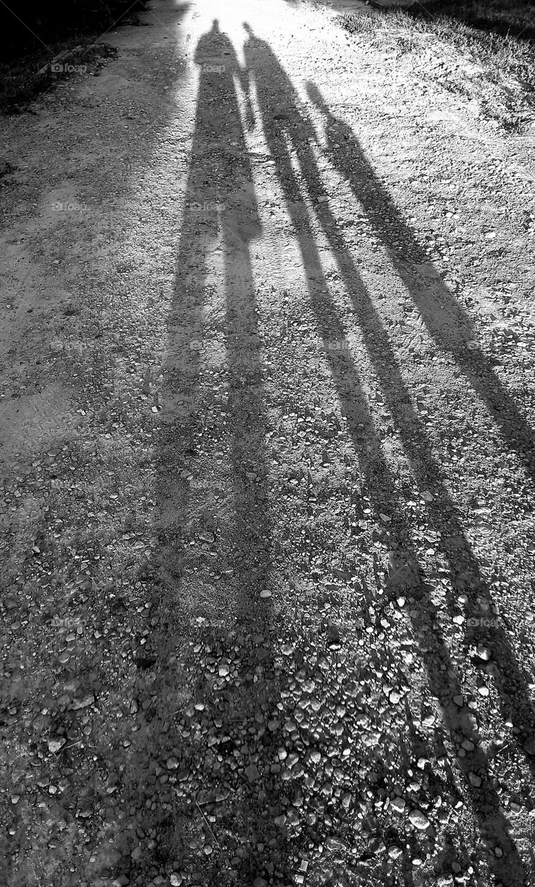 shadows on the road