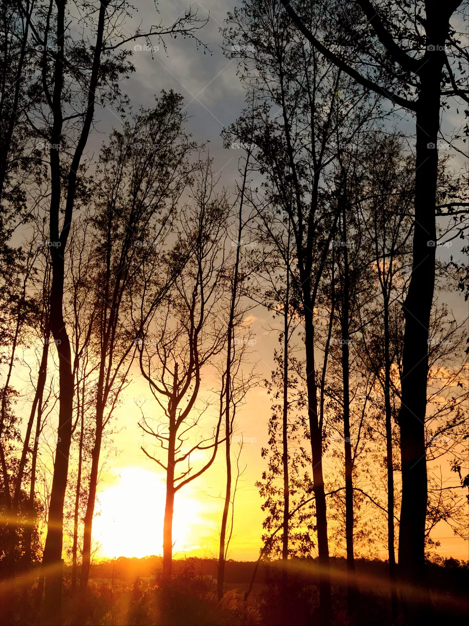 Orange Sunset 2
