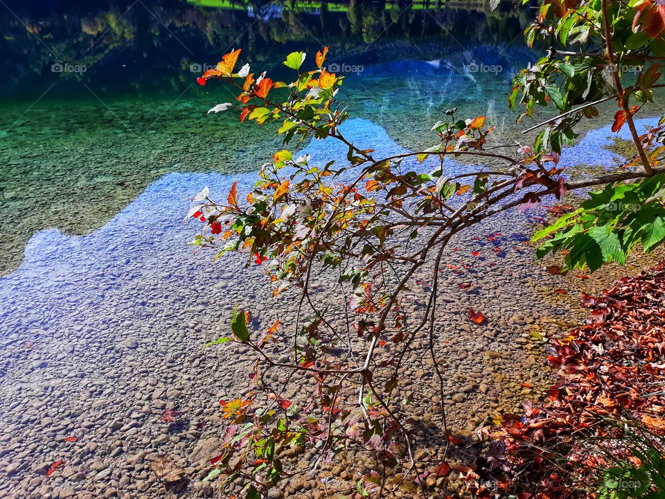 A simple autumnal picture
