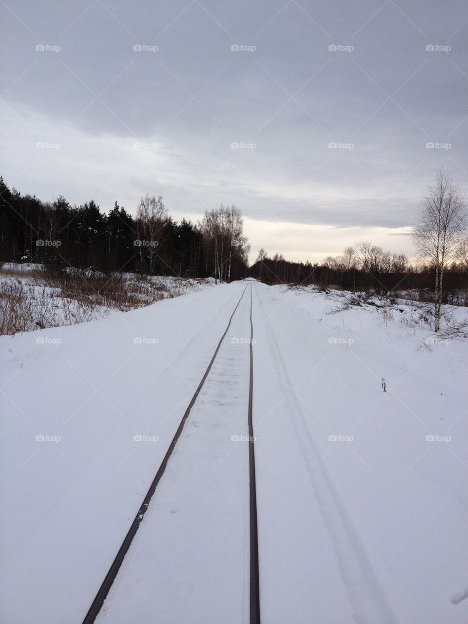 winter rail railroad by penguincody