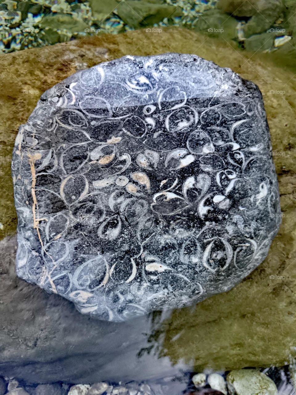 games of nature and time