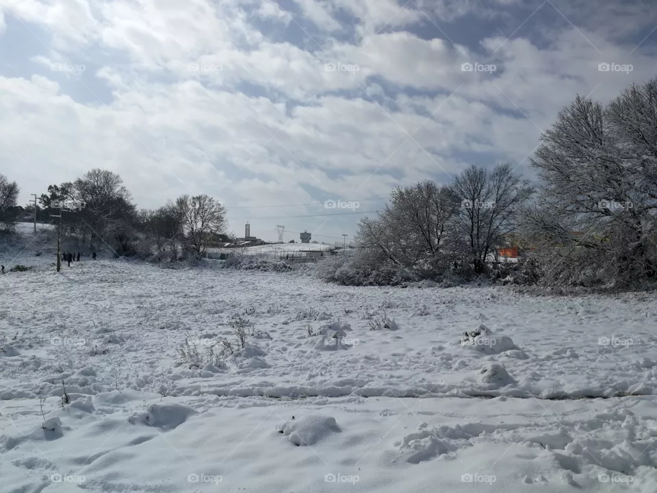 Winter