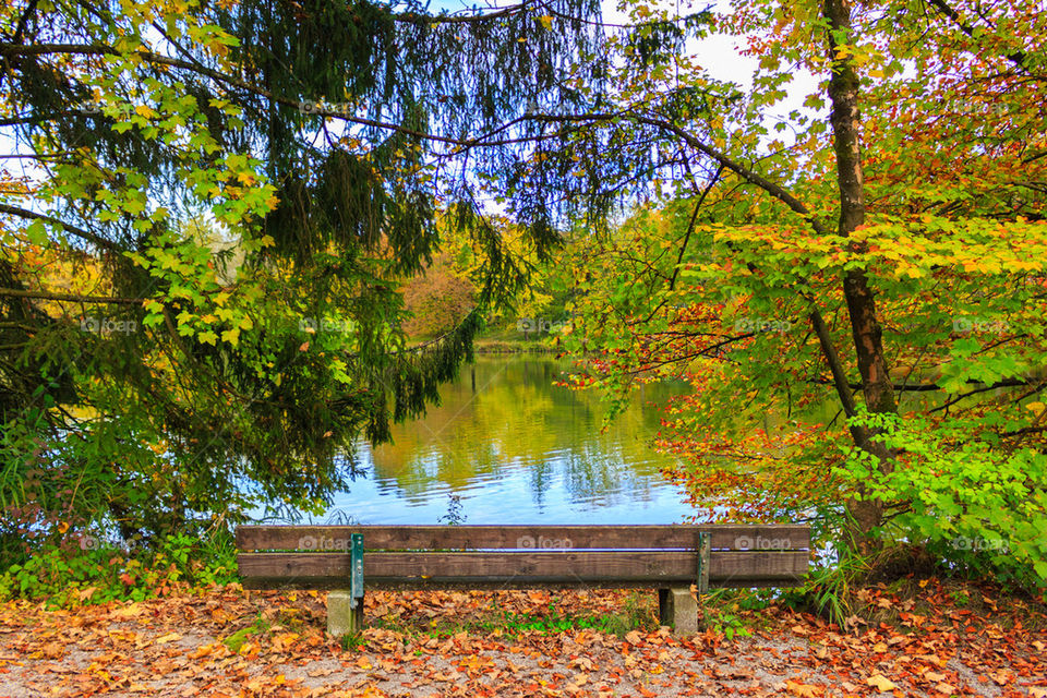 Autumn Bench 
