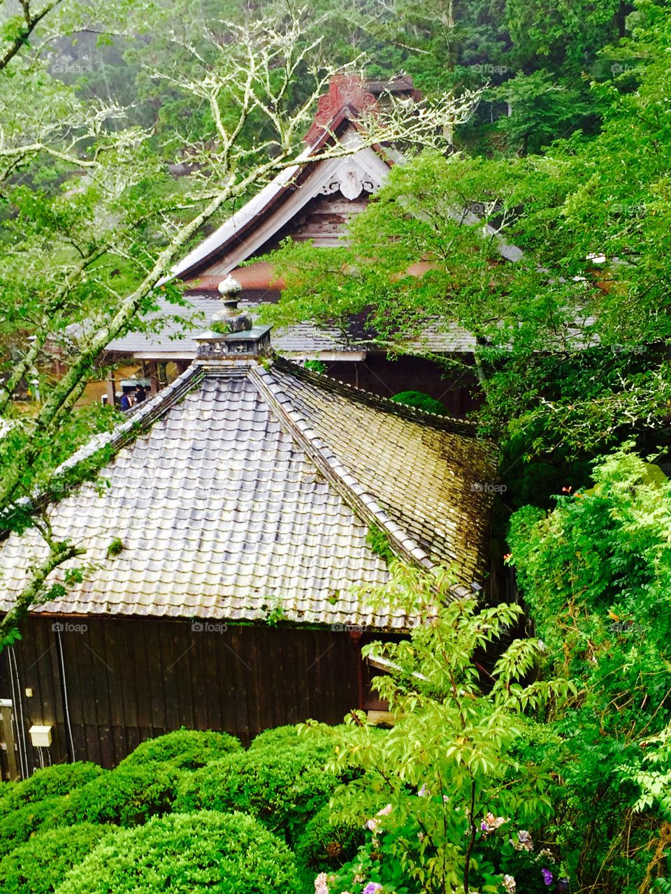 Temple Shikoku Japan 
