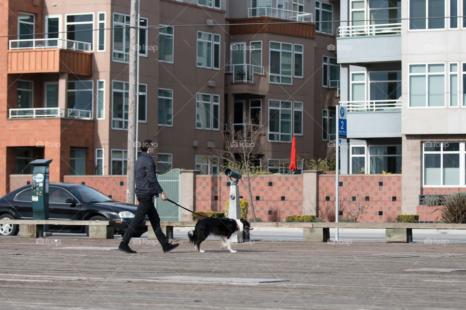 Man with dog in public 