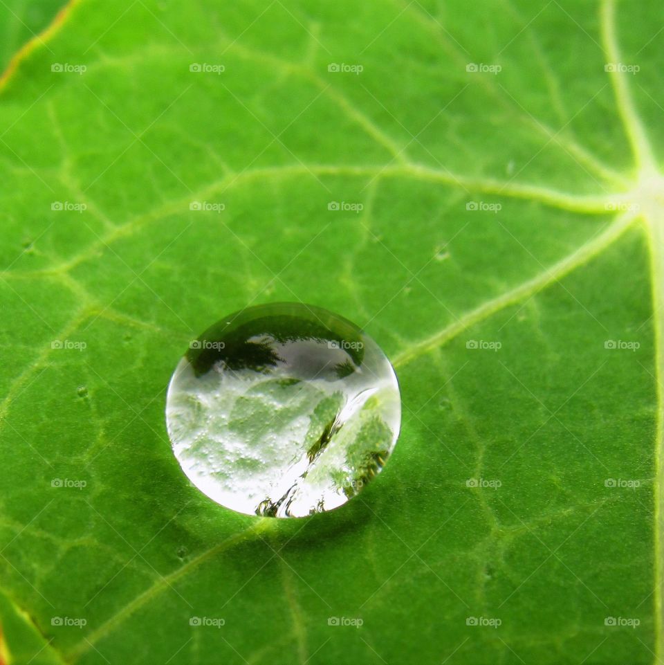 Raindrop