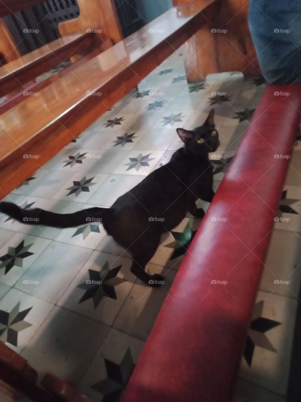 Anger is an intense emotions we feel when something has gone wrong or someone has wronged us It is typically characterized by feelings of stress, frustration, & irritation.Black cats are just like other cats. They can be loving and sweet or demanding