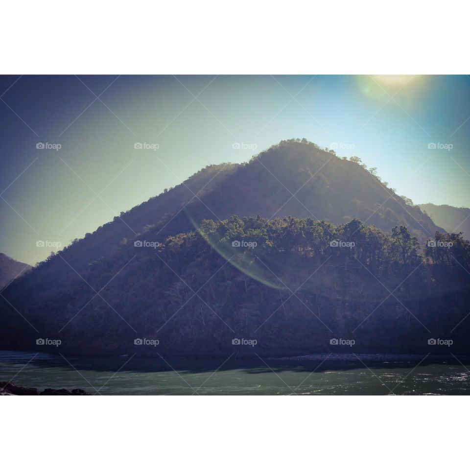 Editors' Choice: Photo of the week