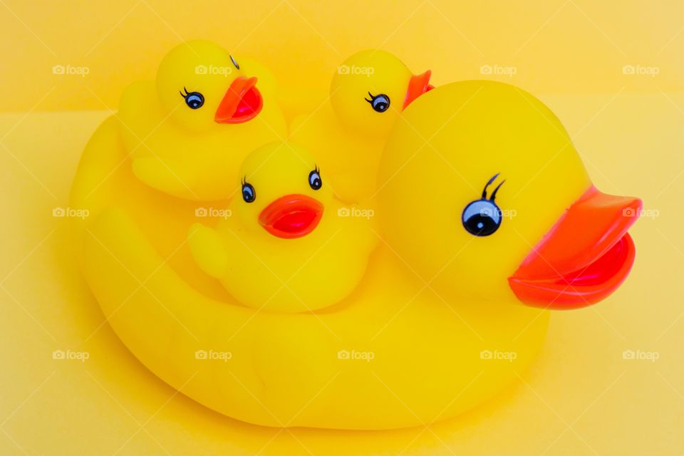 Mother rubber duck and three baby rubber ducklings on a bright yellow background