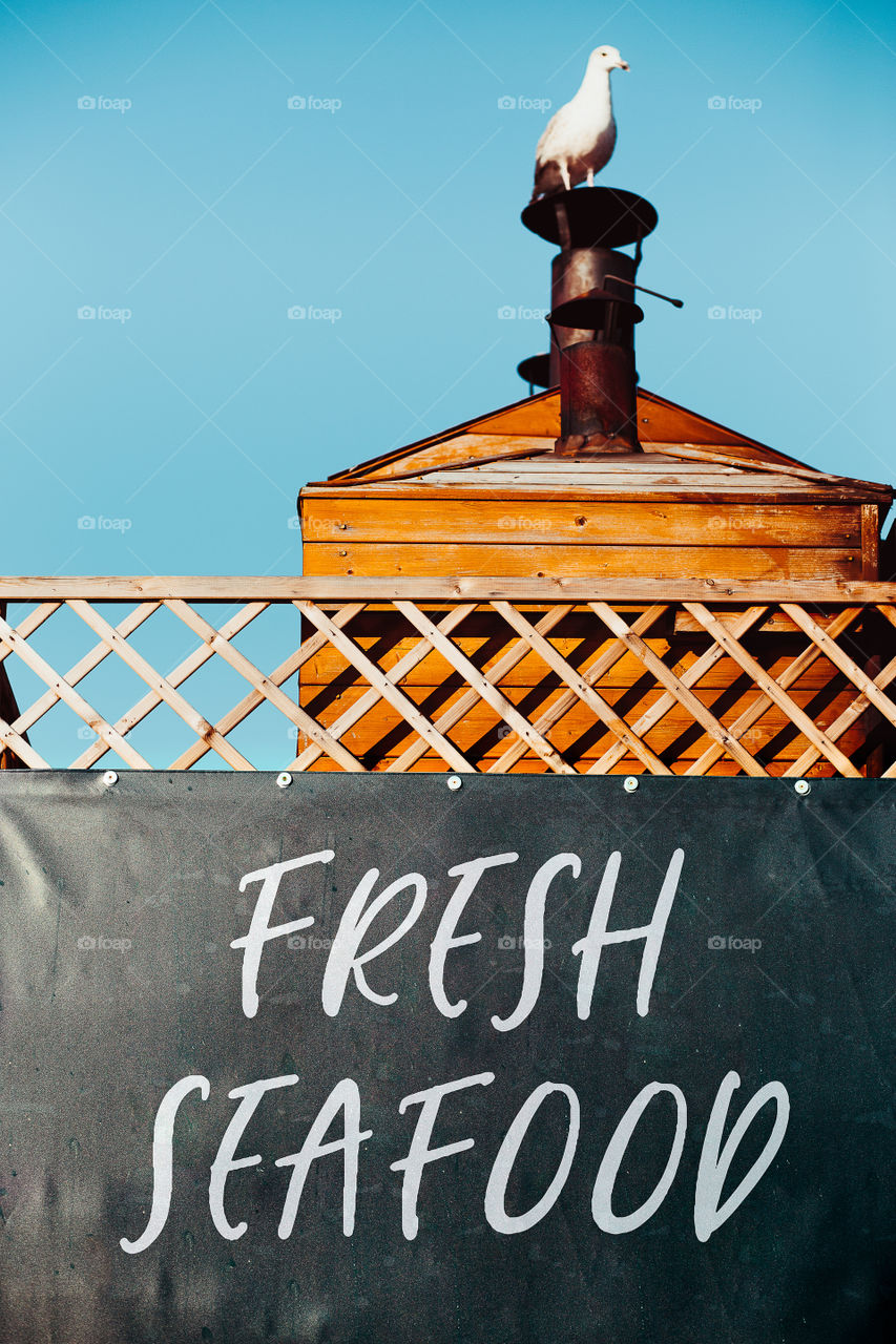 Seagull sitting on a chimney of smoking chamber over a banner with Fresh Seafood inscription