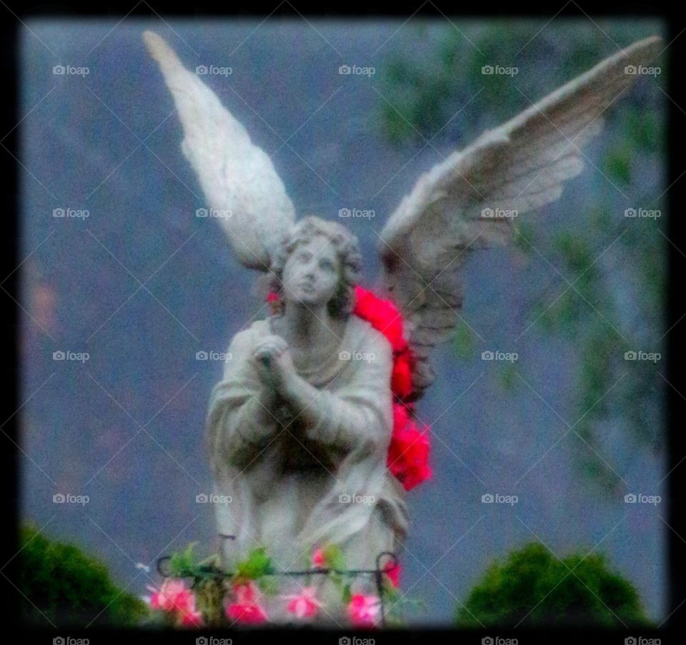 Misty Flowered Angel