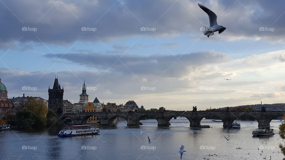 No Person, Water, Architecture, River, City