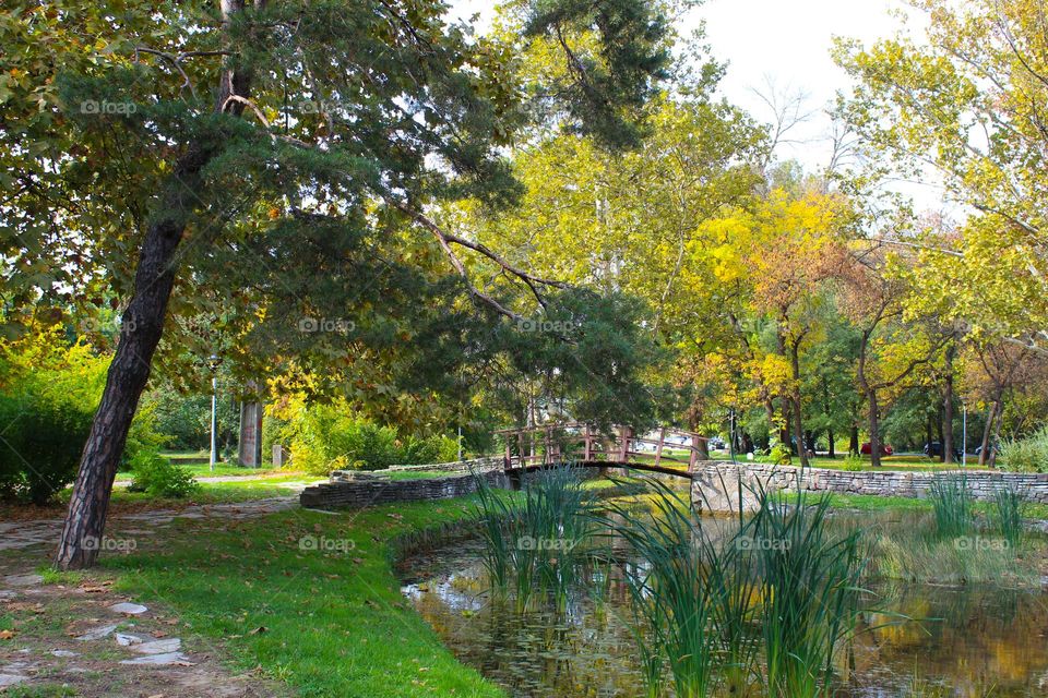 View of a wooden bridge over a stream in a public city park.  Cityscape in spring