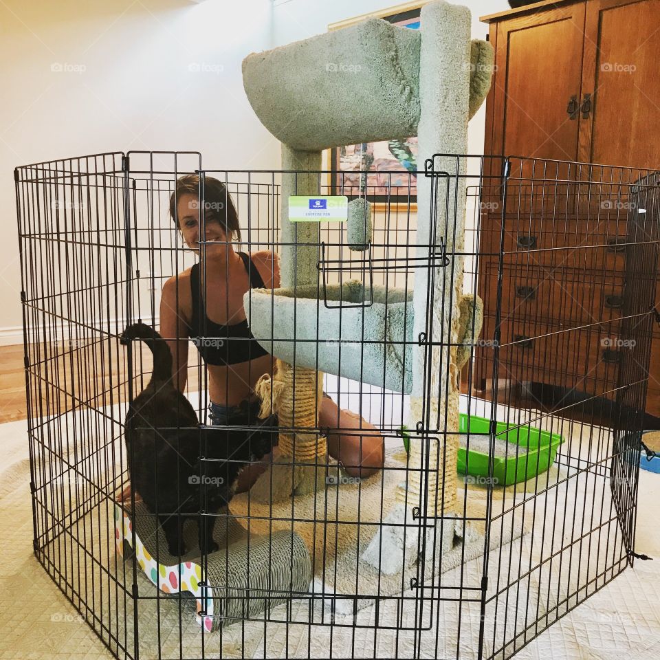 When the cat and dog don't get along.. Build a kitty play pen 