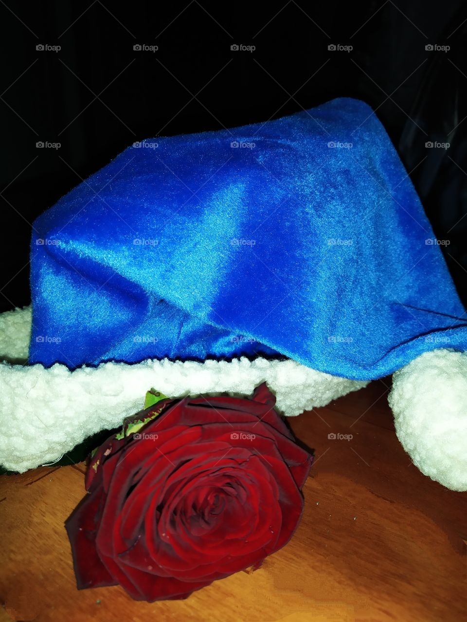 Red Rose and Santa Hat