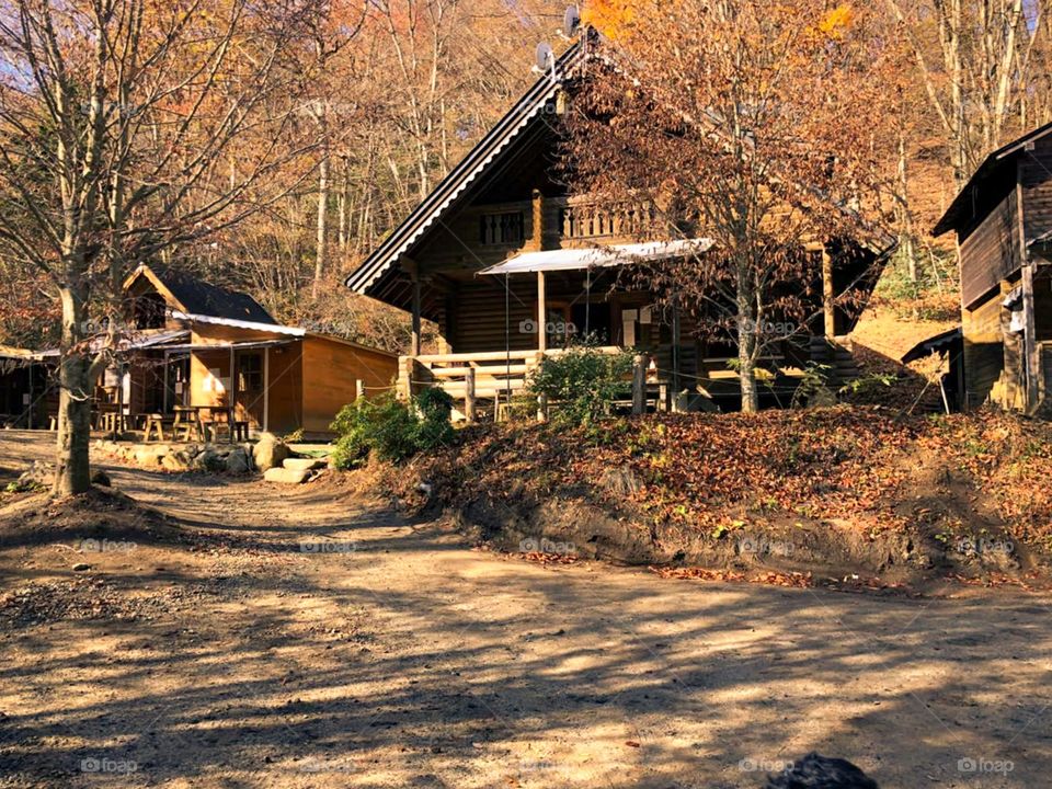 beautiful house in village