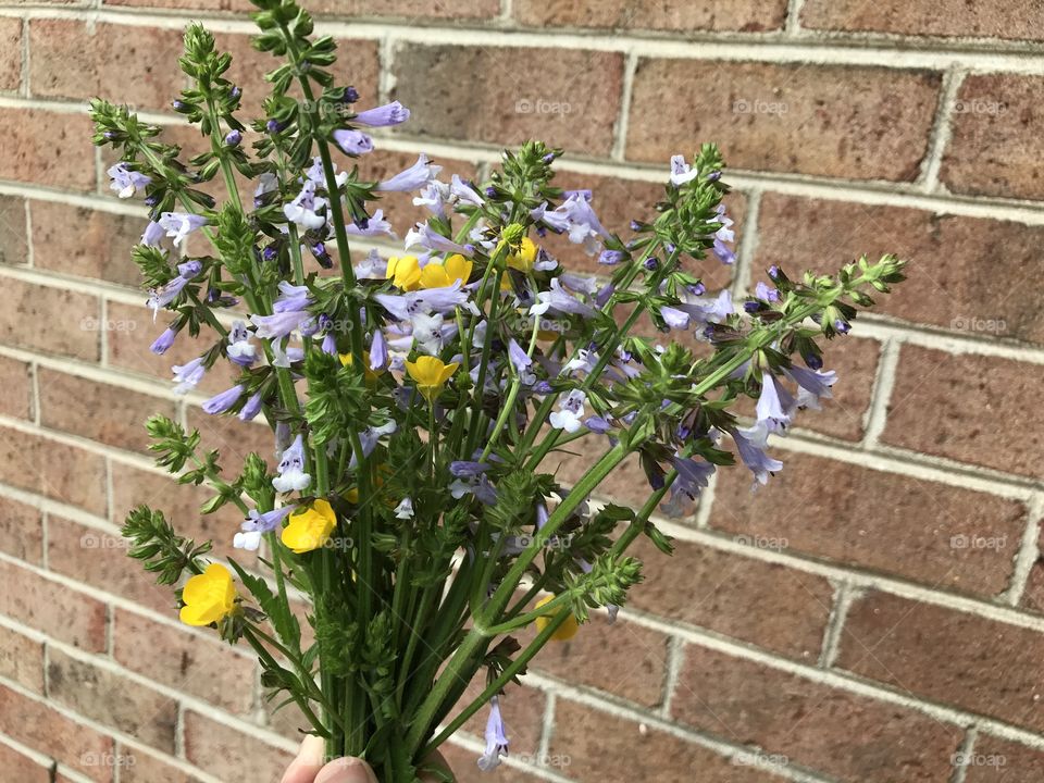 Bouquet 