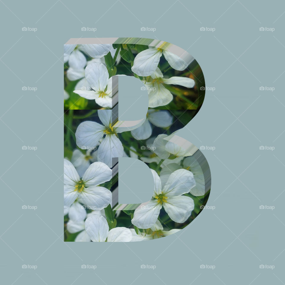 B alphabet 3d rendering of vertical white flowers alphabet