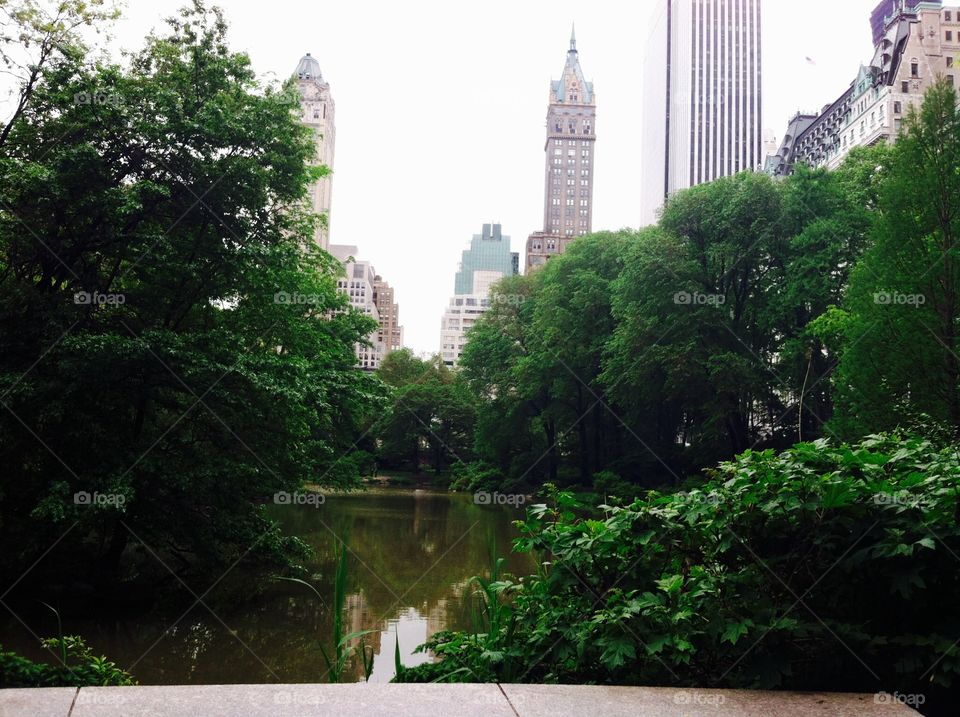 Overlooking the pond to the cityscape 