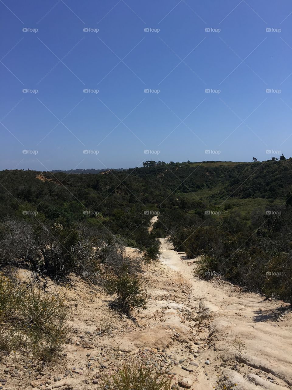 Hiking in Encinitas, San Diego 