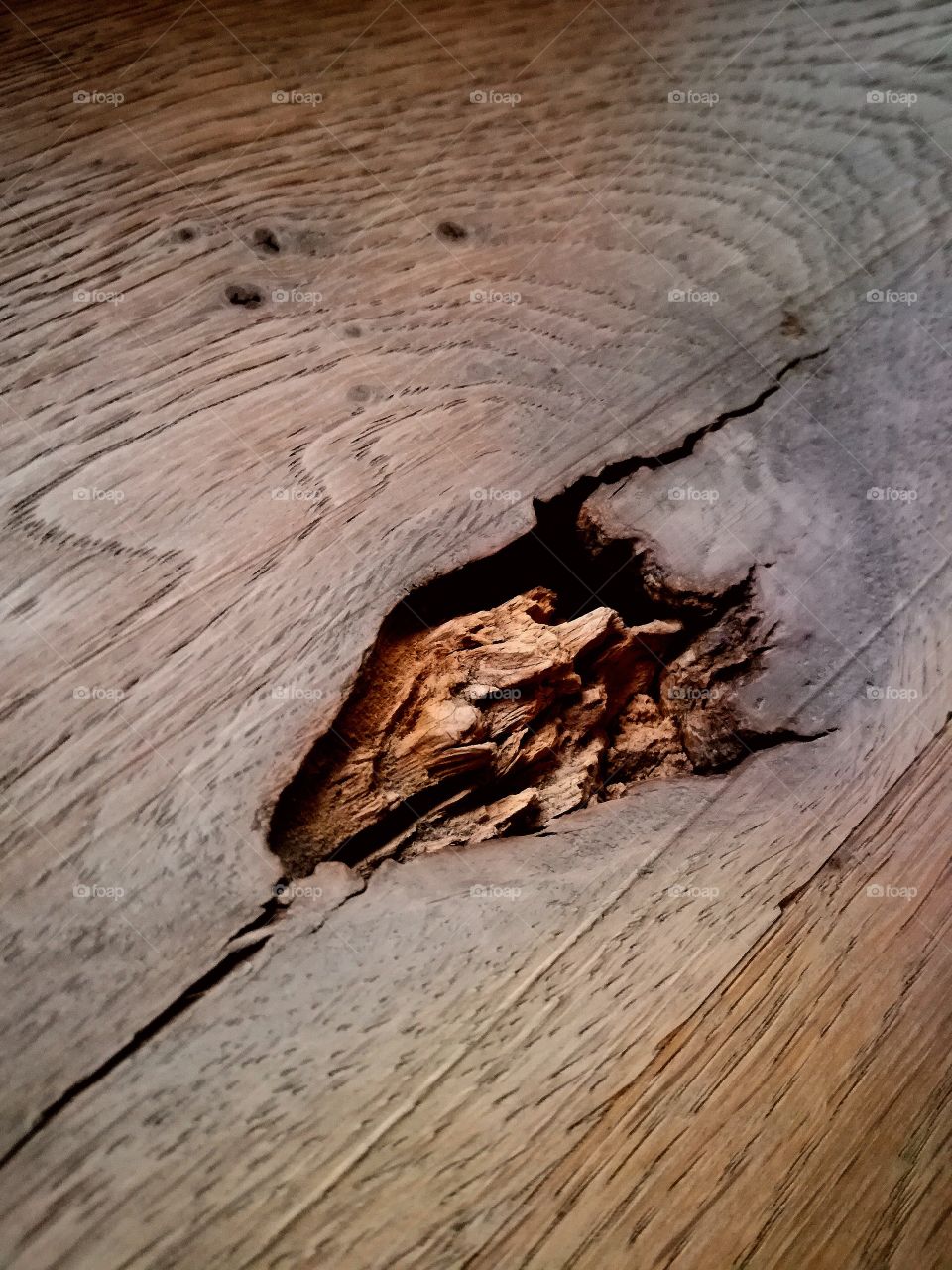 Wood texture under my window :)