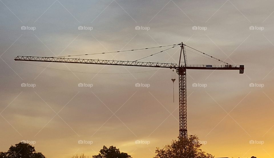 crane in sunset