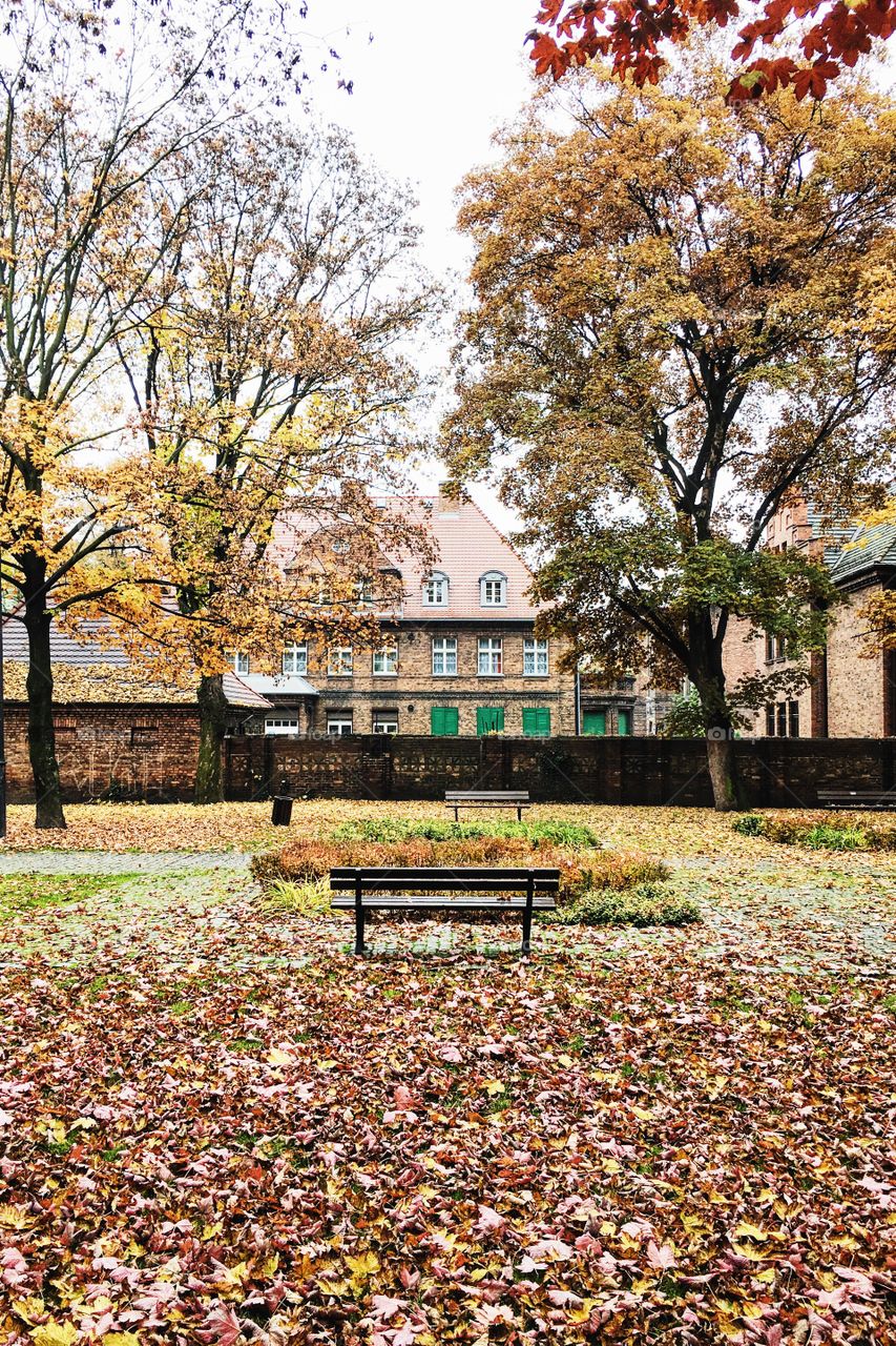 Autumn in Katowice, Poland.