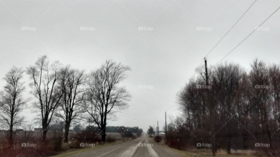 Road, Tree, Landscape, Fog, Winter