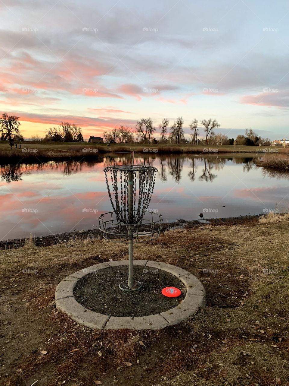 Disc Golf Sunset 