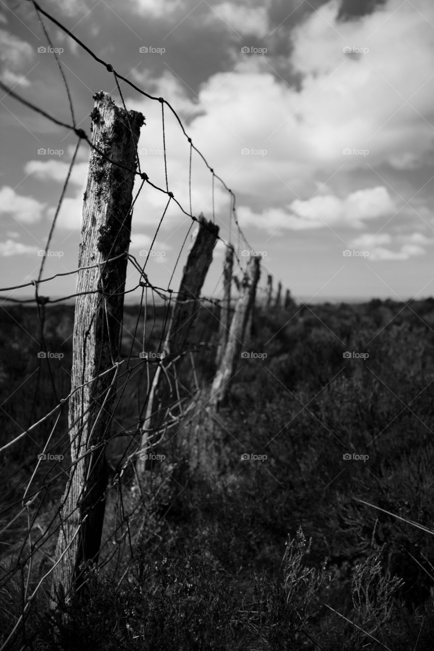 Fence on the moor