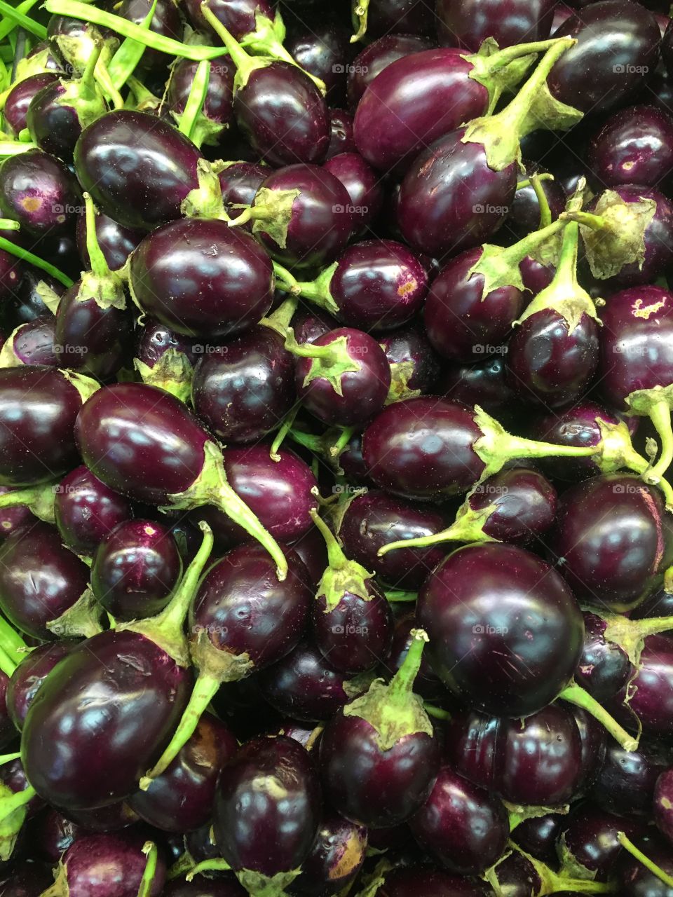 Full frame shot eggplants