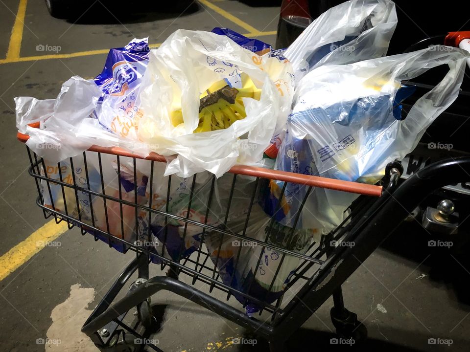 Going to the market... Not the best plan, but the needed task. Full cart...