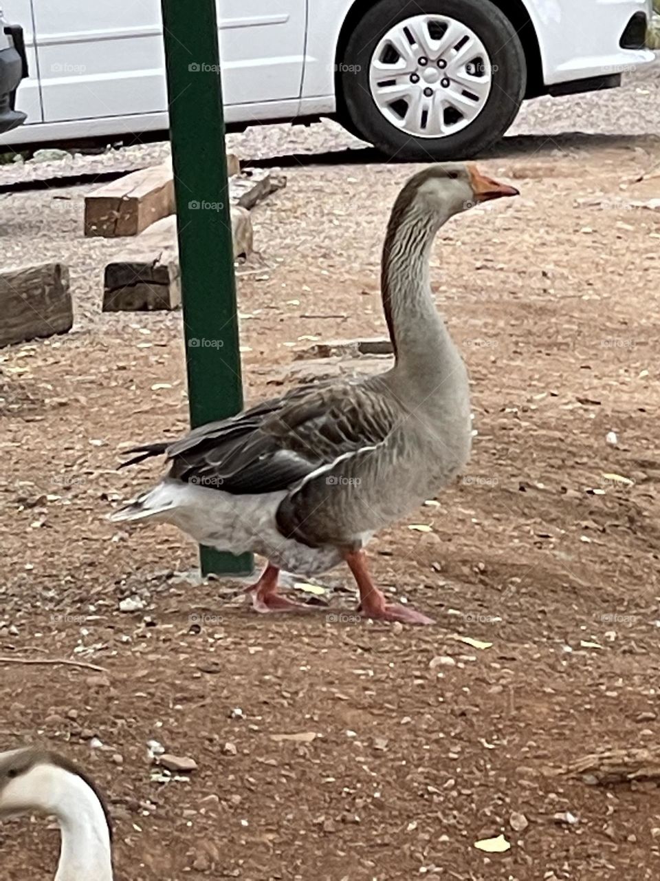 Perfect grounding and peaceful 