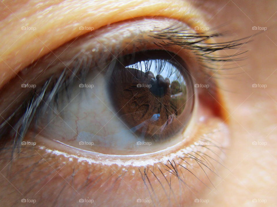 Eye close-up