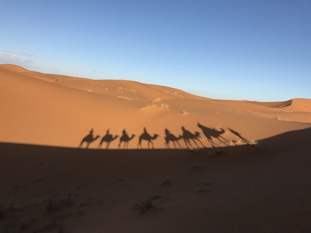 desert