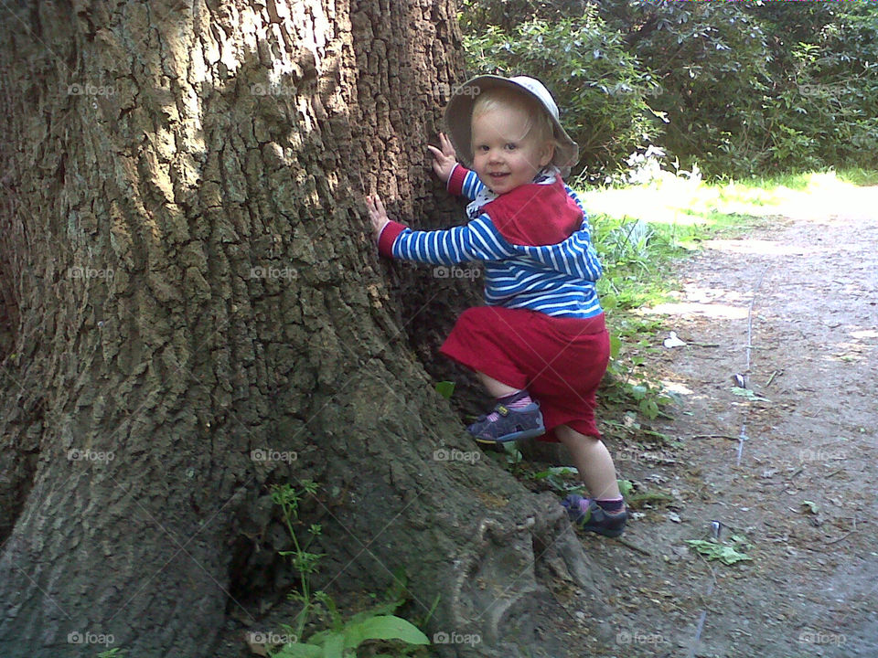 Small boy playing by oak tree in Surrey .