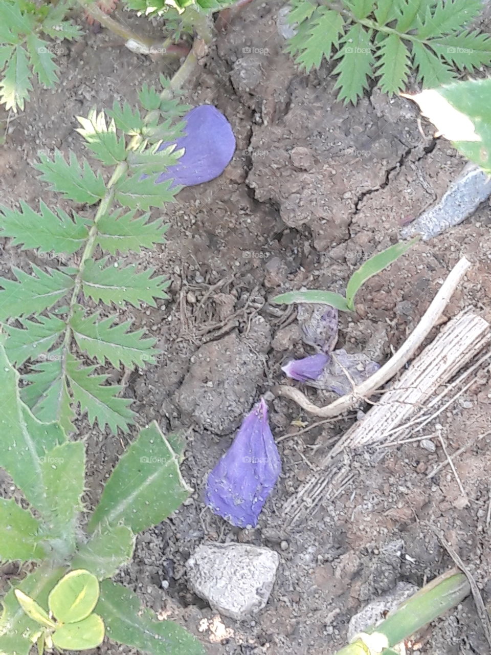 perfect imperfection