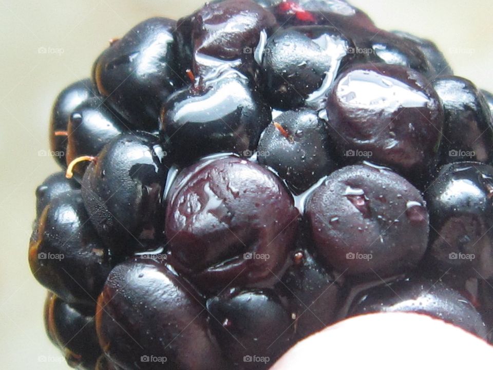 Juicy blackberry 