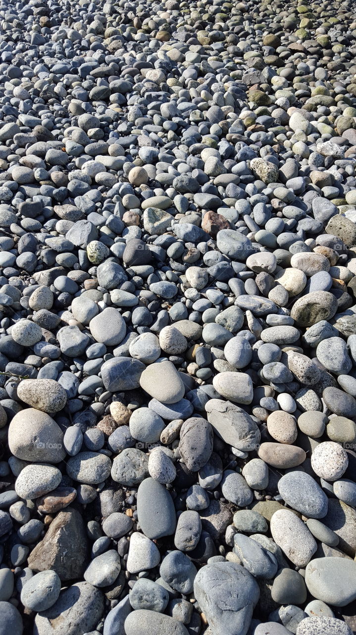 beach rocks