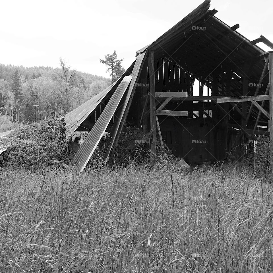 An old weathered barn in the fields in the rural countryside of Oregon.