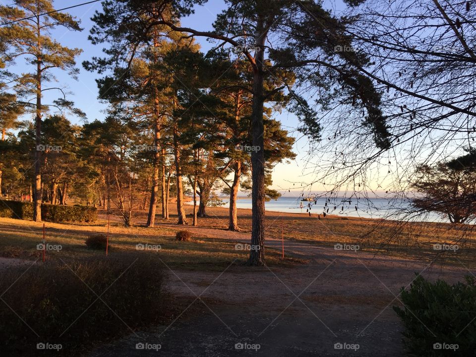 Sunshine in December in south Sweden 
