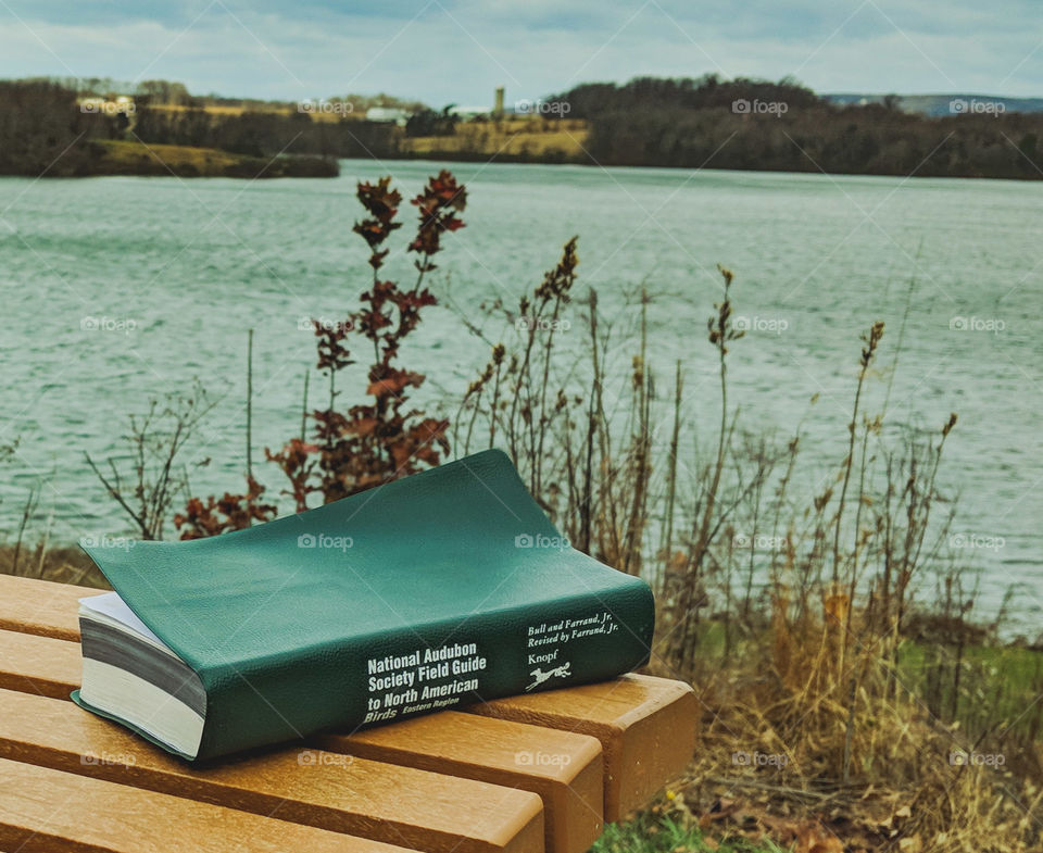 book and bench at a lake