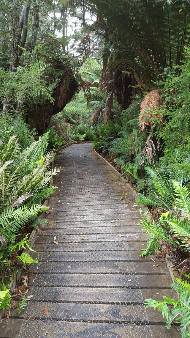 boardwalk