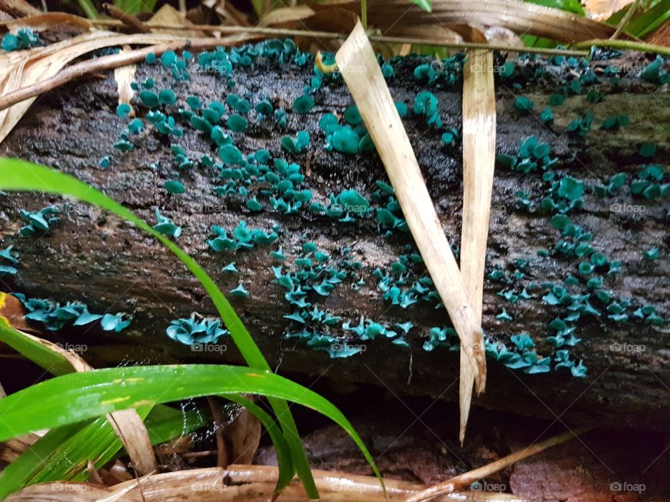 never seen this before